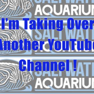 I’m Taking Over SaltwaterAquarium.com’s YouTube Channel